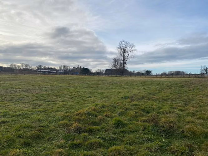 Oportunidad Única: Parcela 5.000 m² en Osorno - Imagen 17