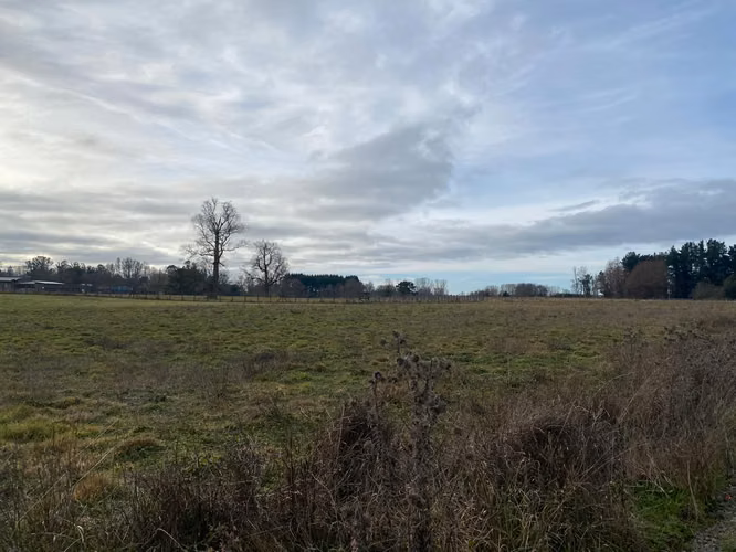Oportunidad Única: Parcela 5.000 m² en Osorno - Imagen 13