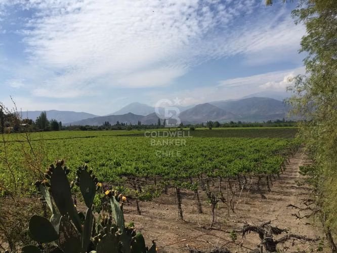 Ultimas Parcelas de 5000m2 Santa Maria Los Andes