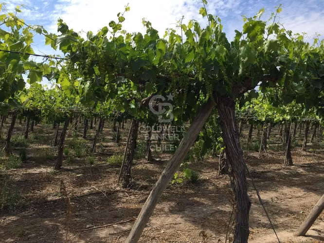 Ultimas Parcelas de 5000m2 Santa Maria Los Andes