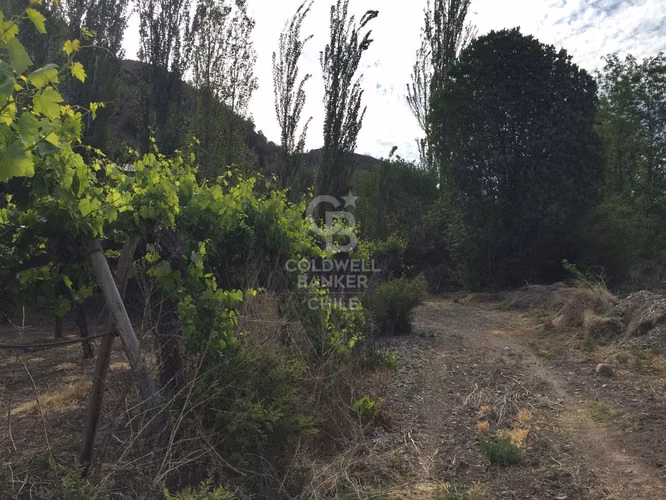 Ultimas Parcelas de 5000m2 Santa Maria Los Andes