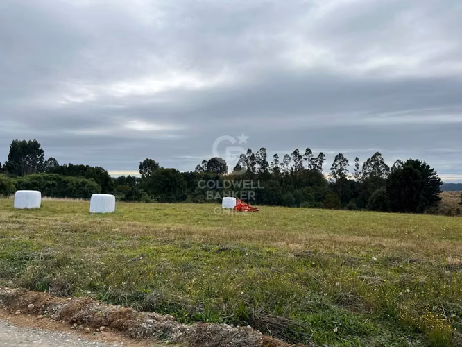Oportunidad Nueva Braunau cercana a nuevo colegio. - Imagen 9