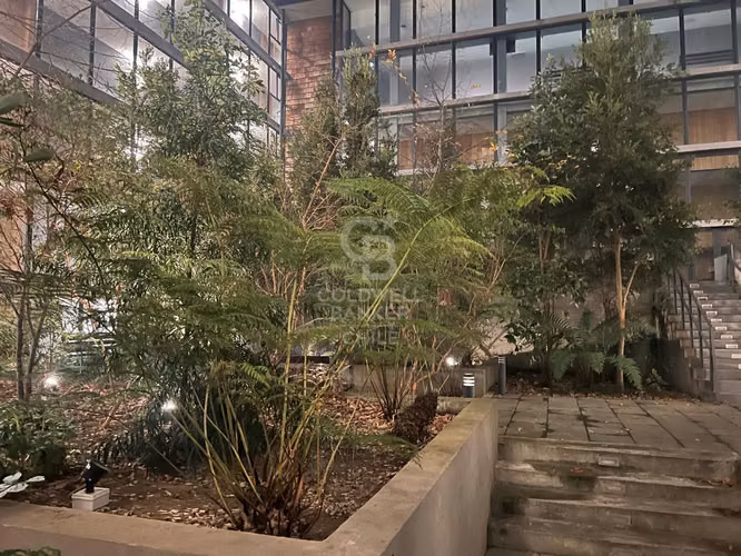 Departamento Mariposa con Terraza, quinco y Áreas de Lujo