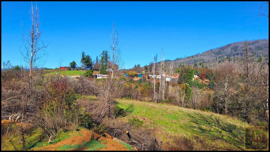 Parcela rusticas, 5000m2 en Chacay,Sta. Juana (112739)
