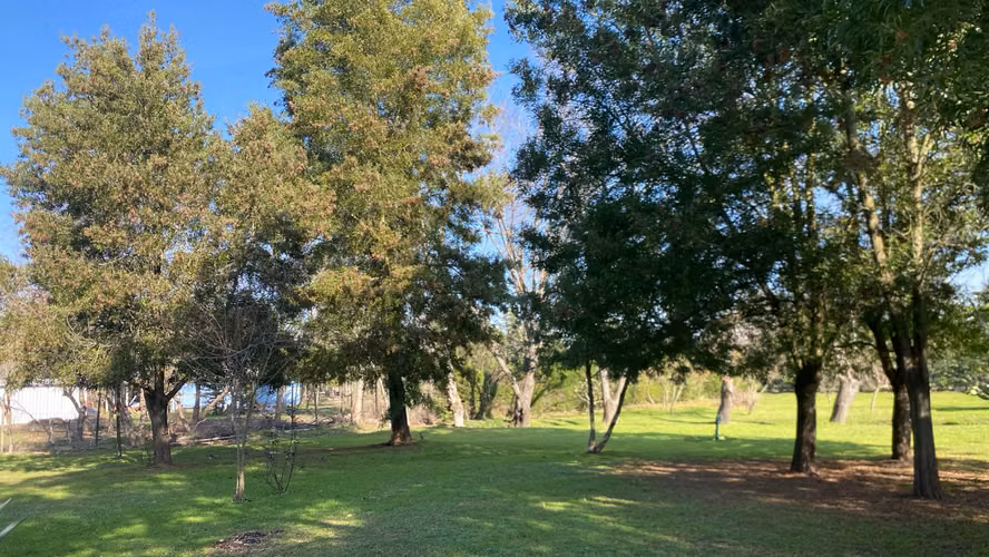 Parcela 5.000 m² con Casa y Piscina – Sector Poniente Ruta 5 Sur