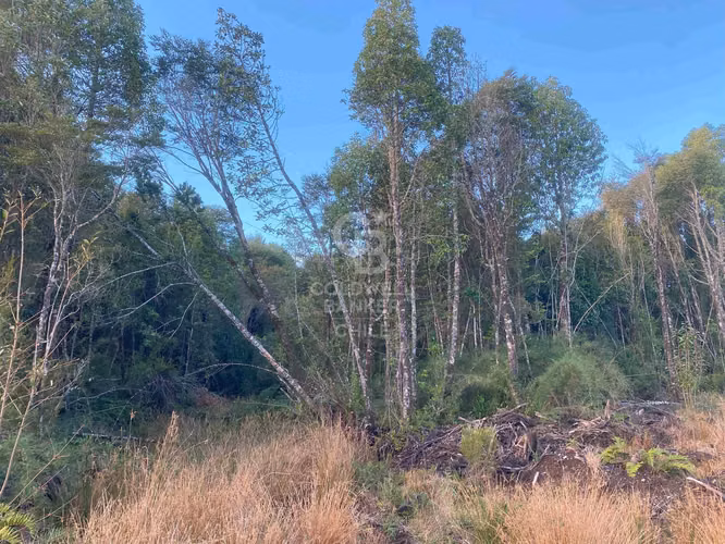 Parcela con Bosque Nativo en condominio cerrado