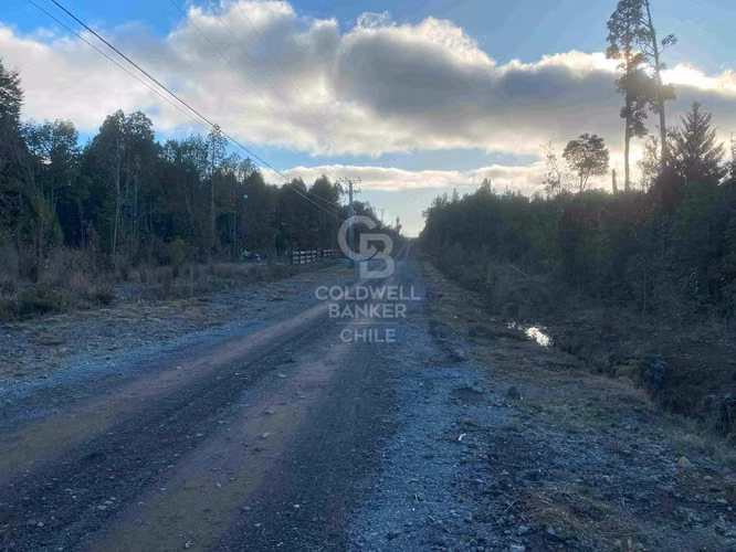 Parcela con Bosque Nativo en condominio cerrado