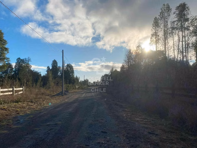 Parcela con Bosque Nativo en condominio cerrado