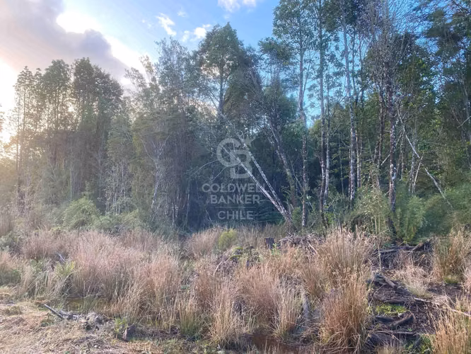 Parcela con Bosque Nativo en condominio cerrado