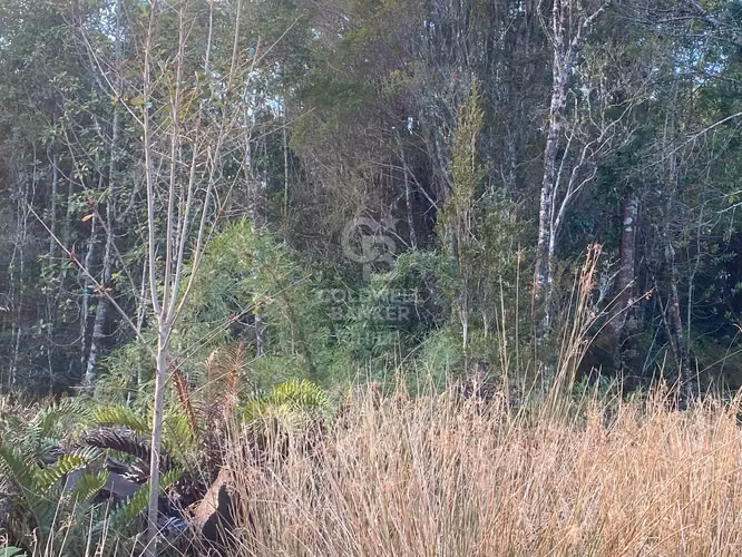 Parcela con Bosque Nativo en condominio cerrado