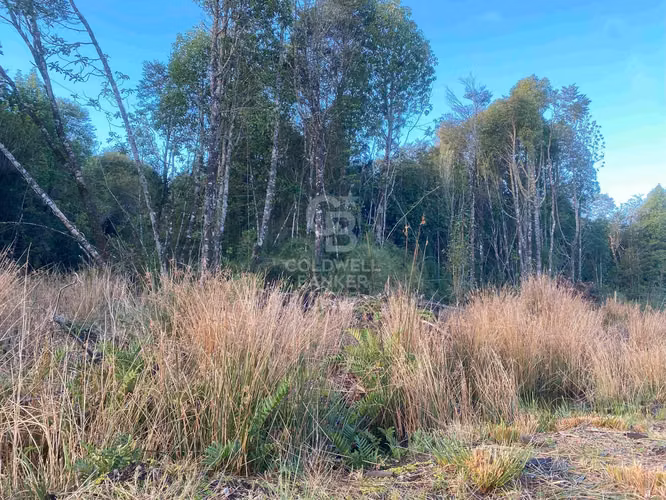 Parcela con Bosque Nativo en condominio cerrado