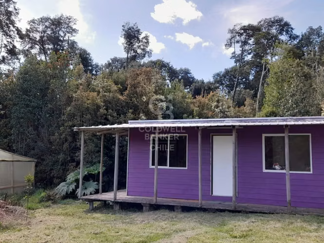 Oferta una hectárea  con 2  casa Regularizada! - Imagen 4
