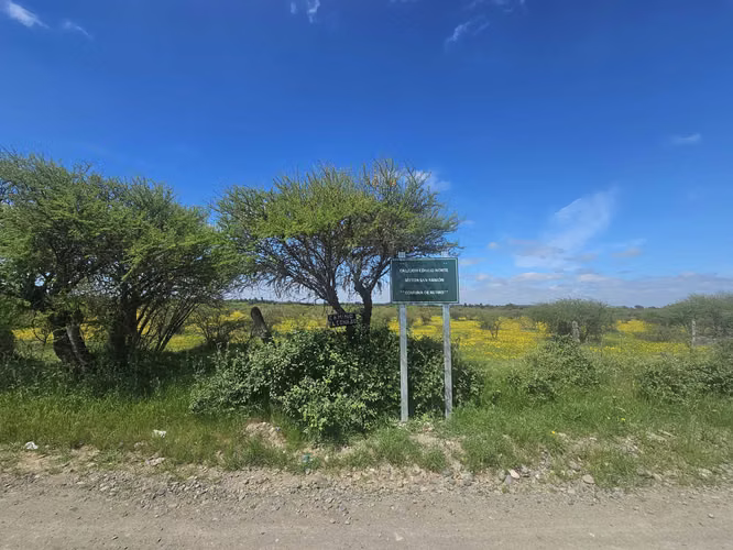 Parcelas con rol a 25 minutos de Parral