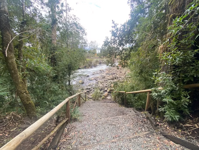 Parcela con acceso al Lago y Rio - Imagen 16