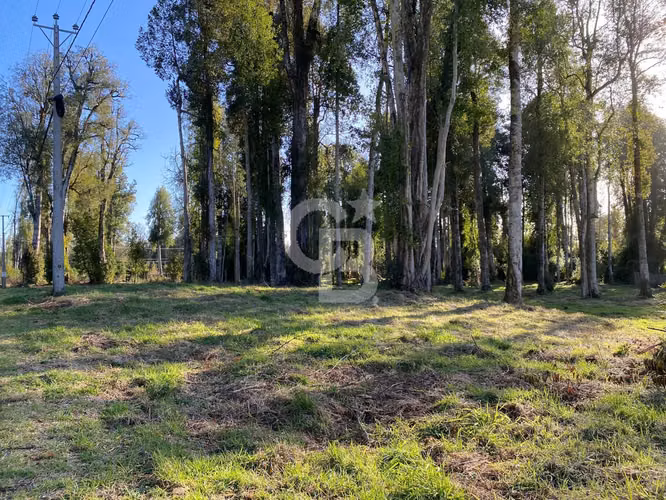 Parcela con acceso al Lago y Rio - Imagen 6