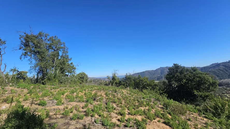 Parcelas de 20.000 m2 entre Casablanca y Quilpué