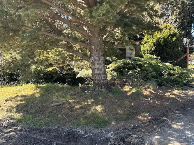 2 Casas, espacio y comodidad | Colonia Alerce - Imagen 3