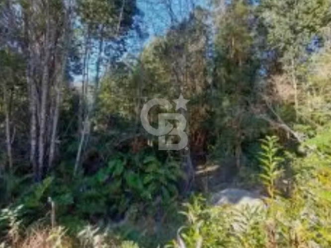 Bosque nativo y excelente conectividad. - Imagen 9