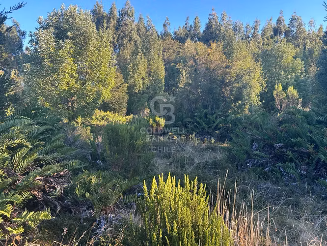 Parcela a orilla de rio con 8000mtr2 c/u