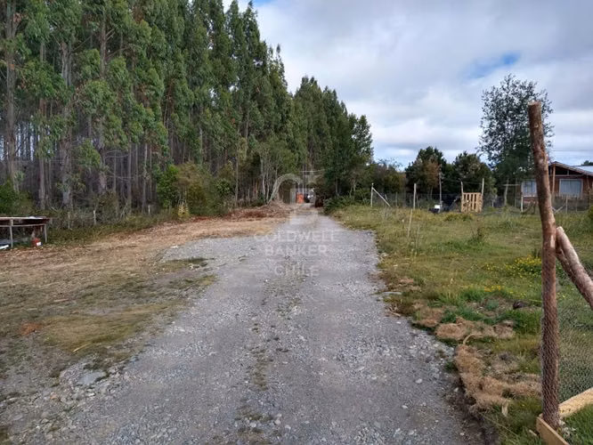 Parcela a orilla de rio con 8000mtr2 c/u