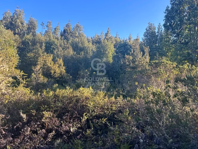 Parcela a orilla de rio con 8000mtr2 c/u