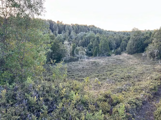 Parcela a orilla de rio con 8000mtr2 c/u