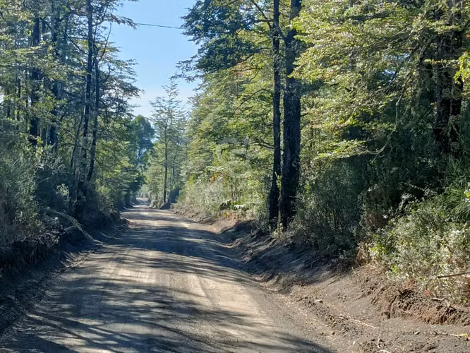 Oferta más de una hectárea de Bosque Nativo !