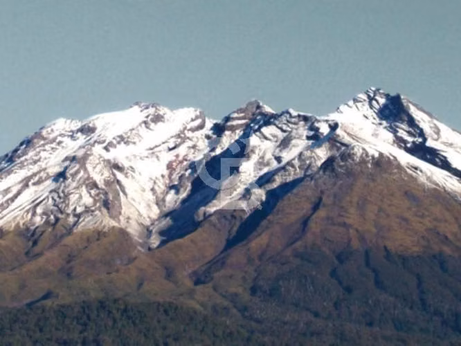 Oferta más de una hectárea de Bosque Nativo !