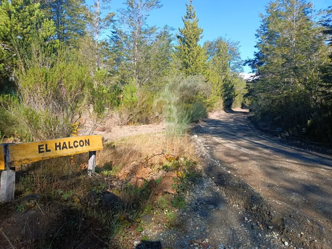 Oferta más de una hectárea de Bosque Nativo !
