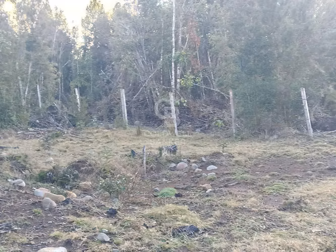 Parcela de 5000 m2, en condominio, con acceso controlado
