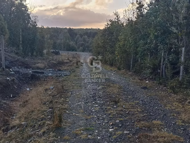 Parcela de 5000 m2, en condominio, con acceso controlado