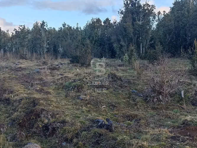 Parcela de 5000 m2, en condominio, con acceso controlado
