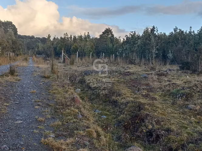 Parcela de 5000 m2, en condominio, con acceso controlado