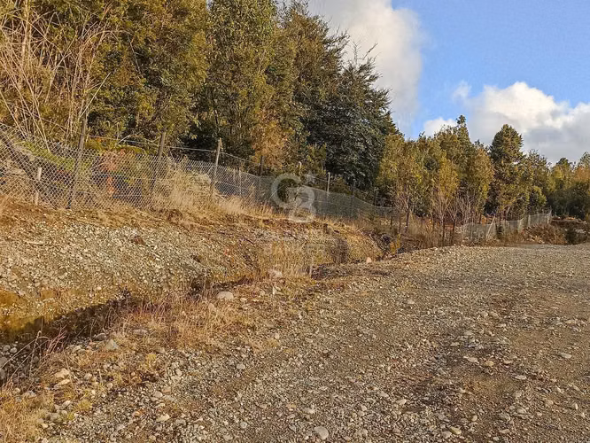 Parcela de 5000 m2, en condominio, con acceso controlado