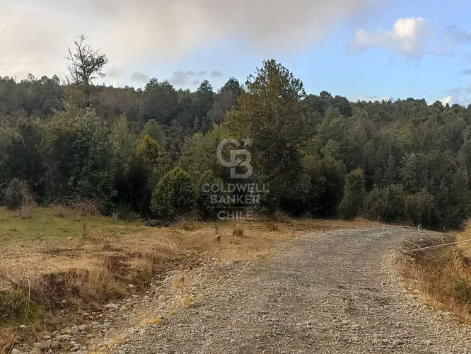 Parcela de 5000 m2, en condominio, con acceso controlado