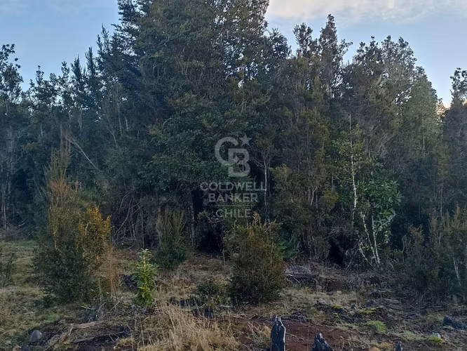 Parcela de 5000 m2, en condominio, con acceso controlado