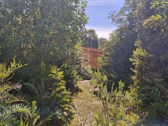 Inserta en el bosque | Condominio Privado