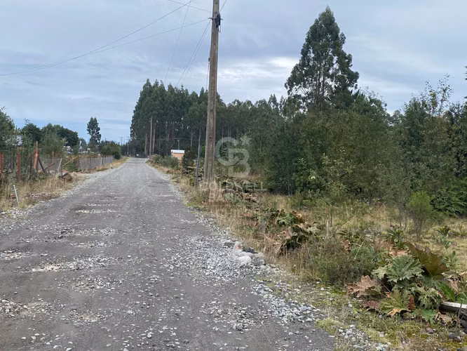 Colonia La Poza | Rodeada de Arboles nativos en condominio