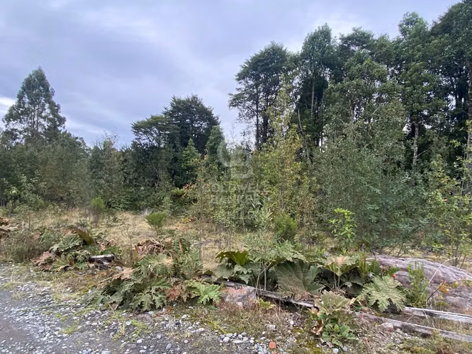 Colonia La Poza | Rodeada de Arboles nativos en condominio
