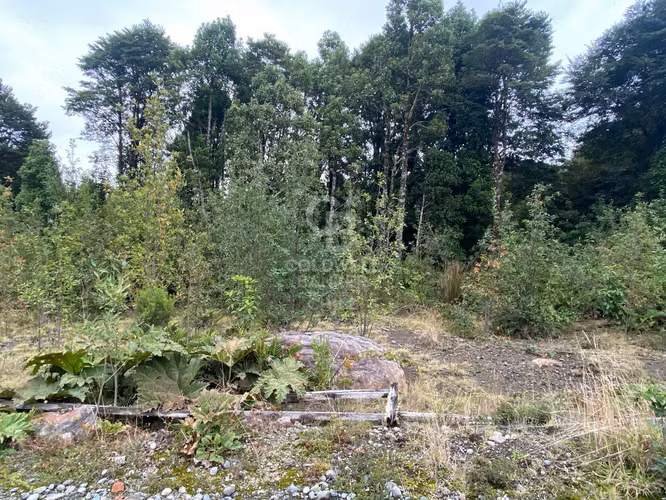 Colonia La Poza | Rodeada de Arboles nativos en condominio