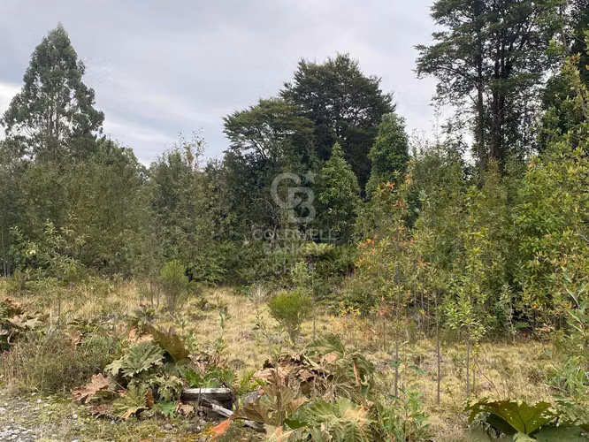Colonia La Poza | Rodeada de Arboles nativos en condominio