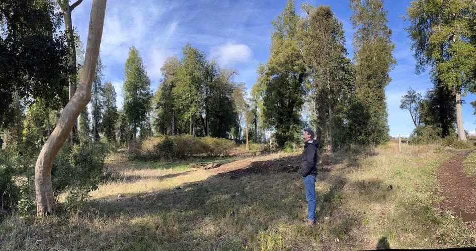 Maravillosa Parcela en Frutillar Bajo (113127)