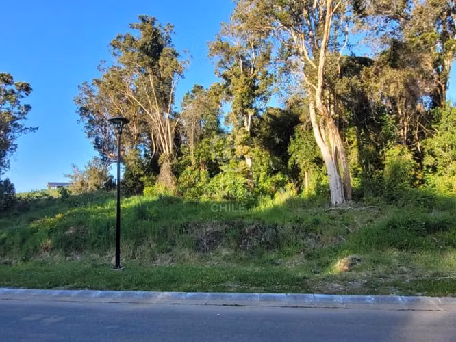 Lomas del Mirador a 15 minutos de Puerto Varas - Imagen 7