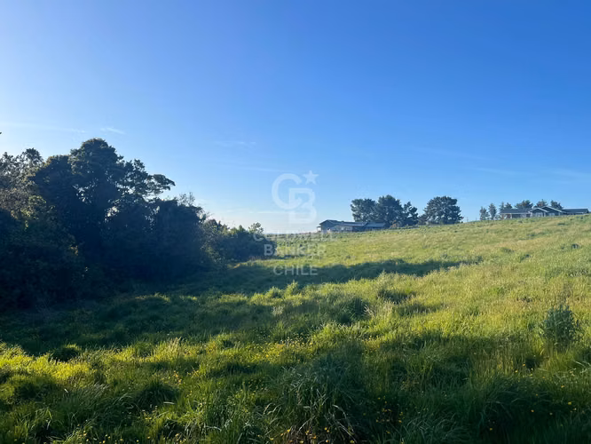 Lomas del Mirador a 15 minutos de Puerto Varas - Imagen 10
