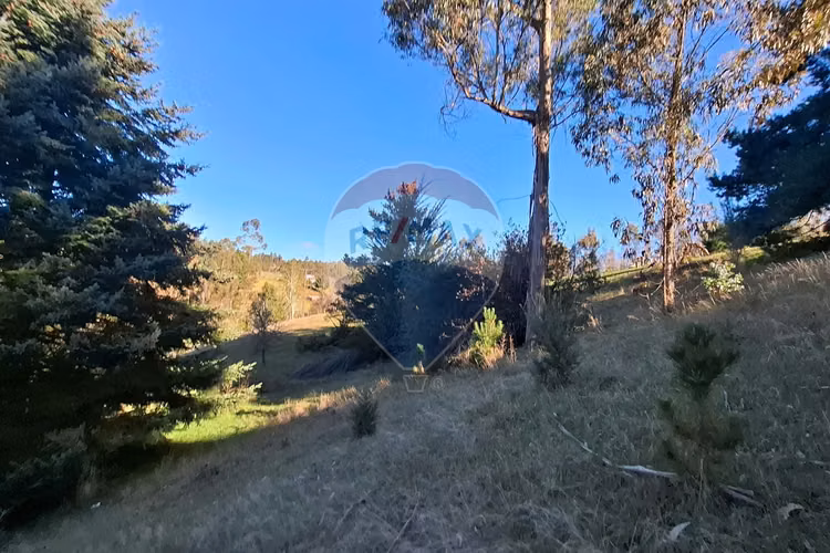 Oportunidad única venta 9,9 ht de tierra indígena