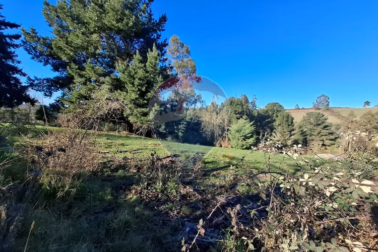 Oportunidad única venta 9,9 ht de tierra indígena