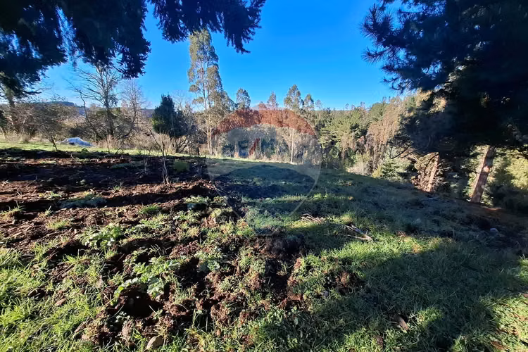 Oportunidad única venta 9,9 ht de tierra indígena