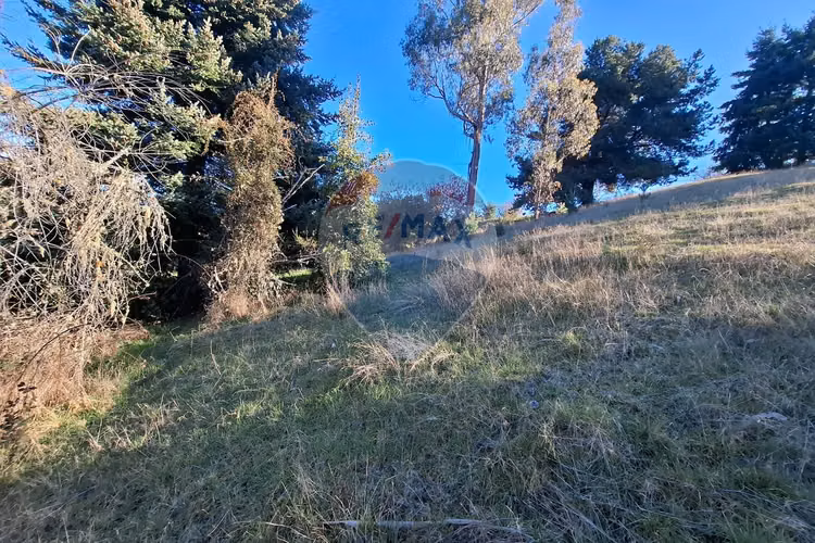 Oportunidad única venta 9,9 ht de tierra indígena