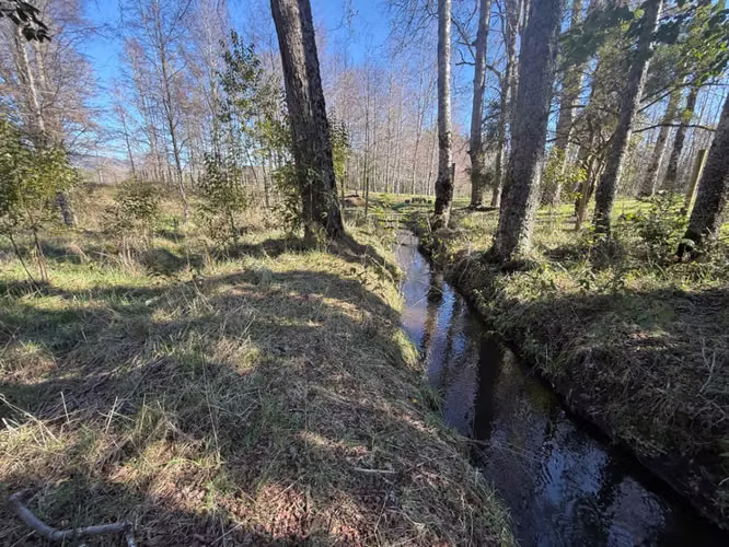Venta Parcela Villarrica en sector Los Guindos