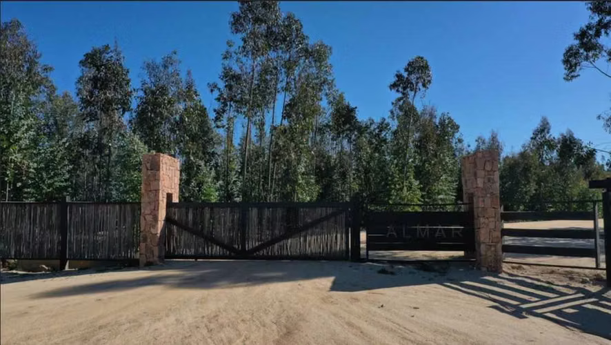 Condominio Almar en La Palmilla, Navidad (113377)